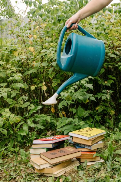 How to Build and Maintain Momentum when Writing, Publishing or Marketing Your Book